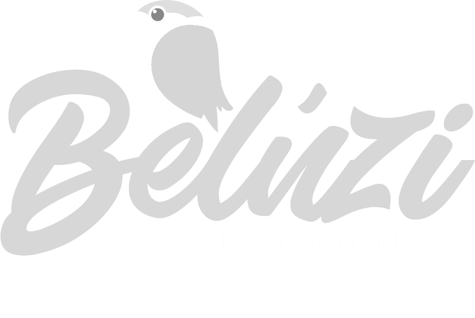 Beluzi-Logo